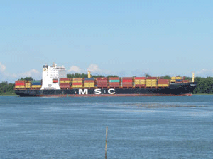 MSC Maria Laura