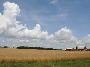 Haldimand, ON Clouds