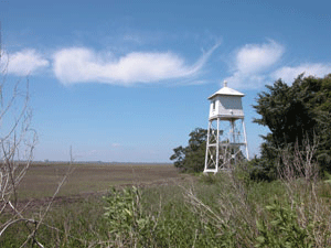 Sapelo Island Front Range Lighthouse