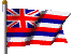 Hawaii flag