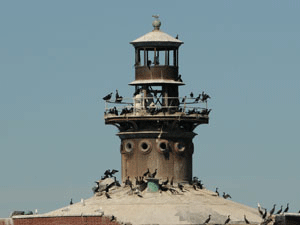 Wilson Avenue Crib Lighthouse