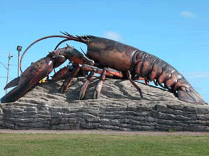 Shediac Lobster