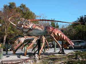 Carribean Spiny Lobster